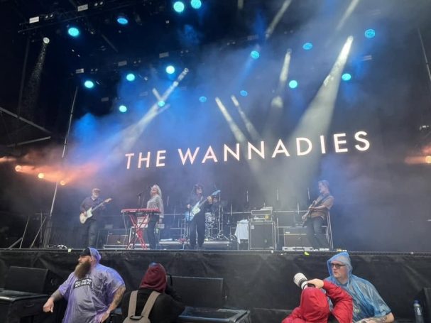 Konsert med the Wannadies i Malmö