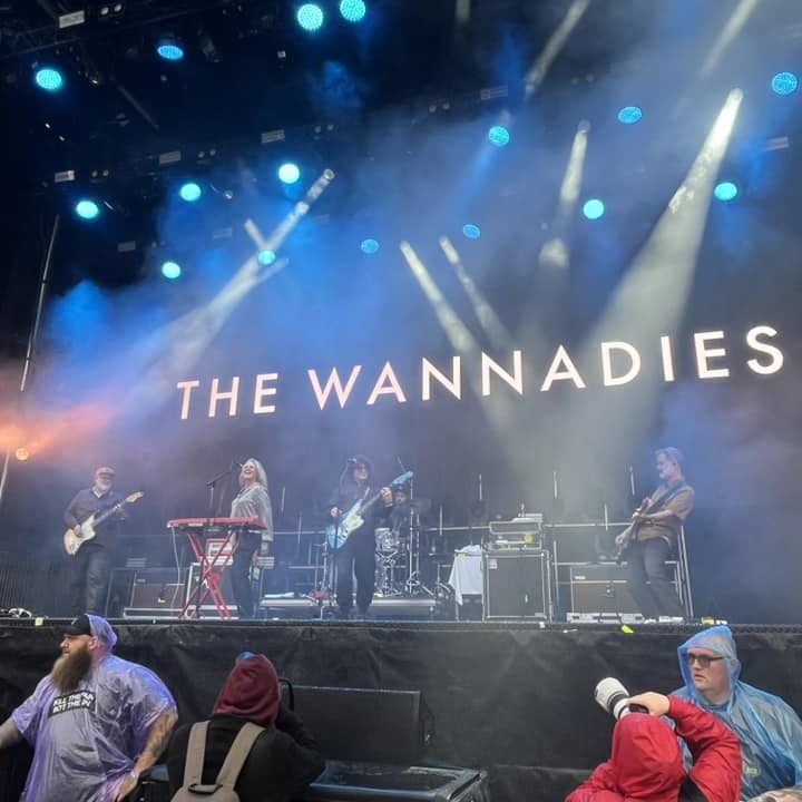 Bild från konsert med the Wannadies i Malmö.